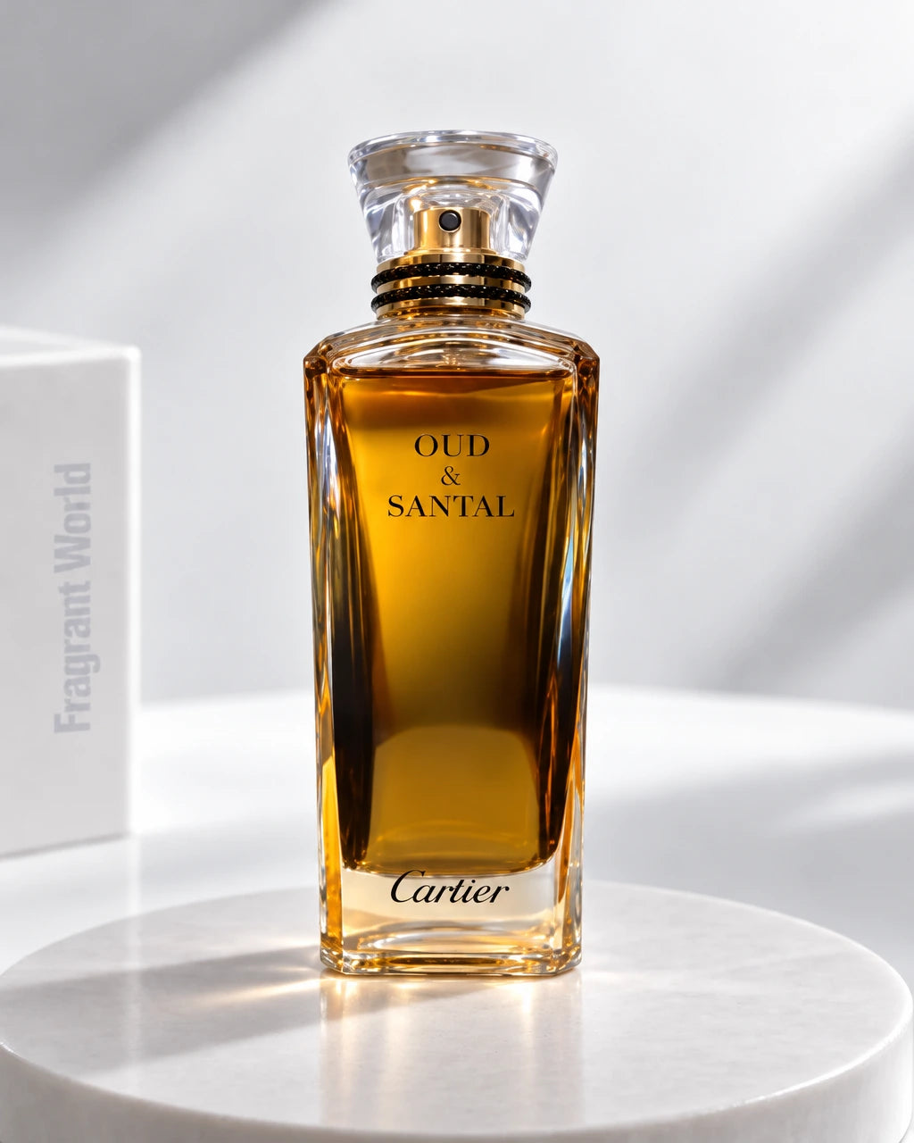 Cartier 'Les Heures Voyageuses' OUD & SANTAL | Recreate @visual reference 2 exactly as it is but my fragrance instead of the one in it, very naturally.