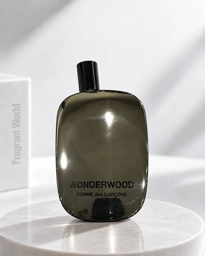 Comme des Garcons WONDERWOOD | Recreate @visual reference 2 exactly as it is but my fragrance instead of the one in it, very naturally.