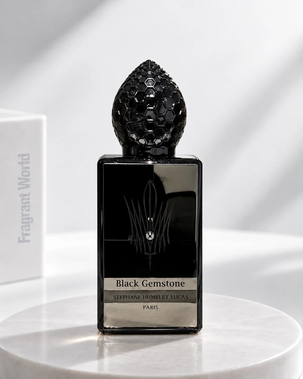 Stephane Humbert Lucas BLACK GEMSTONE | Recreate @visual reference 2 exactly as it is but my fragrance instead of the one in it, very naturally.