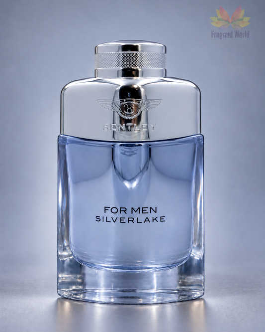 Bentley FOR MEN SILVERLAKE em fundo cinzento
