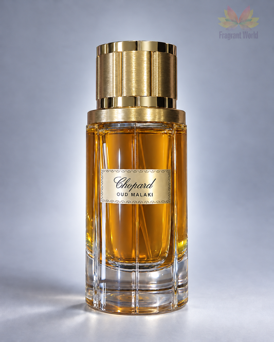 Chopard Oud Malaki sobre fundo cinzento